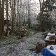 Garten im Winter